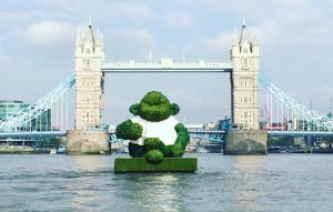 pg tips green tea monkey tower bridge