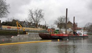 scheldemond i putney foreshore