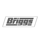 briggs logo
